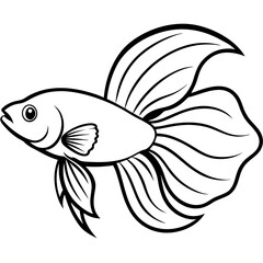Betta line art vector