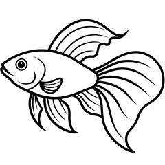 Betta line art vector