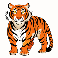 tiger vector illustration