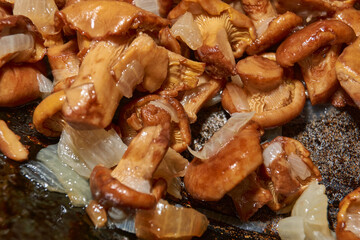 Hot mushroom dish – chanterelles fried with onions in oil. A fragrant dish of fried chanterelles and onions in a frying pan. A close–up of fried chanterelles is a simple and delicious meal.