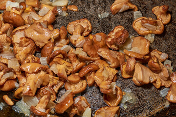 Hot mushroom dish – chanterelles fried with onions in oil. A fragrant dish of fried chanterelles...