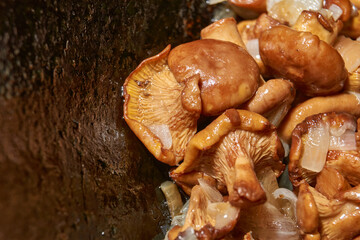 Hot mushroom dish – chanterelles fried with onions in oil. A fragrant dish of fried chanterelles...
