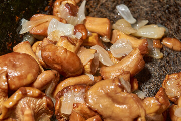 Hot mushroom dish – chanterelles fried with onions in oil. A fragrant dish of fried chanterelles and onions in a frying pan. A close–up of fried chanterelles is a simple and delicious meal.
