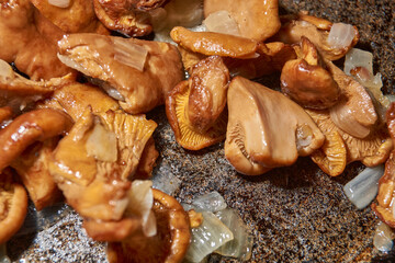 Hot mushroom dish – chanterelles fried with onions in oil. A fragrant dish of fried chanterelles...