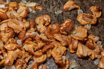 Hot mushroom dish – chanterelles fried with onions in oil. A fragrant dish of fried chanterelles...