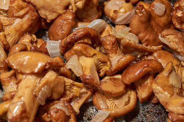 Hot mushroom dish – chanterelles fried with onions in oil. A fragrant dish of fried chanterelles and onions in a frying pan. A close–up of fried chanterelles is a simple and delicious meal.
