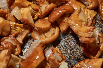 Hot mushroom dish – chanterelles fried with onions in oil. A fragrant dish of fried chanterelles and onions in a frying pan. A close–up of fried chanterelles is a simple and delicious meal.