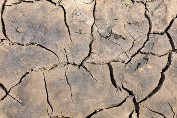 Cracks in the dry earth form an intricate pattern, demonstrating the effects of drought and the...