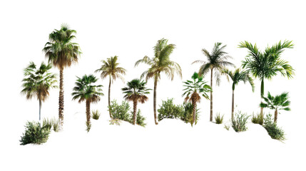 Fototapeta premium Set of tropical oasises with_lush palm trees on sanday on white background 