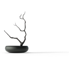 A minimalist bonsai tree in a sleek black pot, symbolizing tranquility and nature.