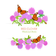 banner with blooming Trifolium pratense with butterflies. frame of red clover wildflowers with ladybirds. card with medicinal herbal flower