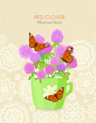 banner with a cup of blooming Trifolium pratense flowers and butterflies. card with red clover wildflowers in a mug. medicinal herbal pratense clover flower on vintage background