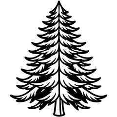Fir line art vector