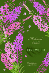 banner with blooming fireweed. card with Chamaenerion angustifolium wildflowers on green background. medicinal herbal rosebay willowherb flower