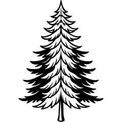 Fototapeta premium Fir line art vector