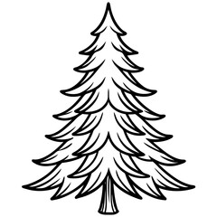 Fir line art vector