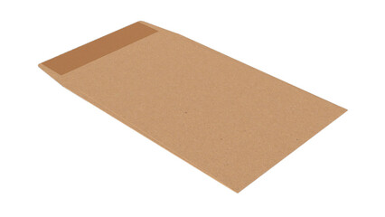 A plain brown cardboard envelope designed for mailing documents or small items.