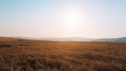 Fototapeta premium Golden expanse: Tranquil landscape under soft, ethereal light at daybreak