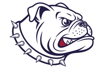 Angry bulldog face shows teeth while wearing a studded collar in a vector