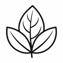 vector illustration of a leaf