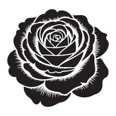 Black and white rose design stylish monochrome flower art