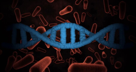 Showing blue double-helix DNA strand stretching in microscopic view, with red bacteria floating