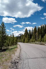 Forest mountain road with cloudy sky