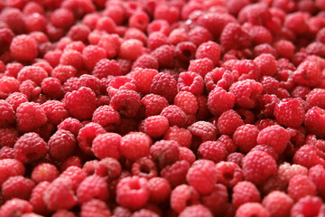 Sweet raspberry background. Full frame of fresh raspberries. Red ripe berry photo wallpaper...