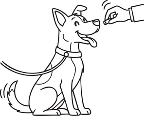  Dog Training with a Leashed Dog and Hand Offering a Treat