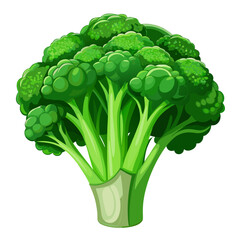 Fresh green broccoli vegetable illustration