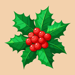 Christmas holly berries and leaves illustration