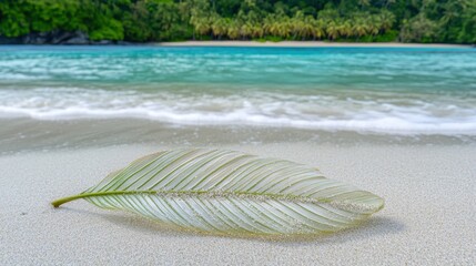 Isolated Green Leaf on Beach Sand with Gentle Sea Waves in Background