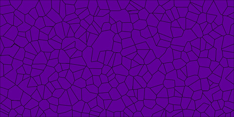 Obraz premium spider web on dark background