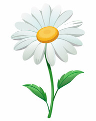 Single white daisy flower with green stem and leaves