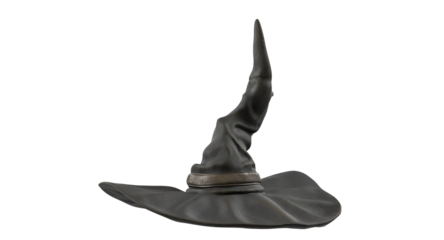 A pointed black hat with a wide brim, often associated with magic and wizardry.