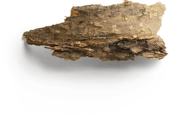 A piece of bark showcasing natural texture and color.