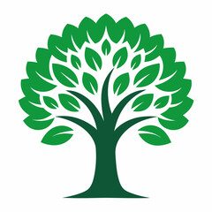 Fototapeta premium Green leafy tree isolated on white background