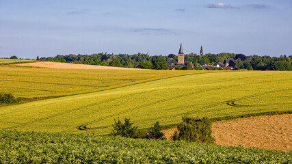 the two churches called Wiesnasen of Ratingen Homberg at summer	evenig sun with blue sky and corn...