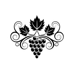 Grapes with leaves isolated on white background represent wine making