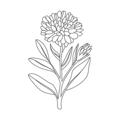 Line Art Illustration of a Flower with Leaves