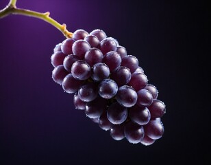 Dark Grapes on Purple Background: A single bunch of dark, juicy grapes hangs elegantly against a deep purple backdrop, each berry glistening with moisture. Ai generated image