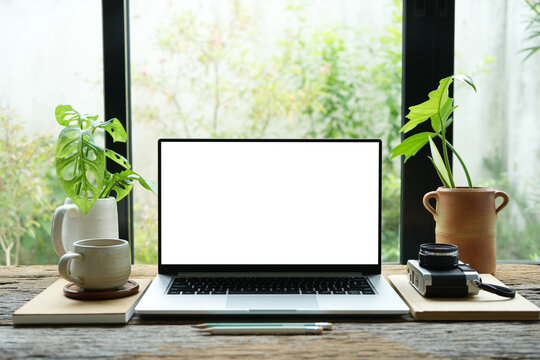 Laptop and notebooks with coffee and plant by the window