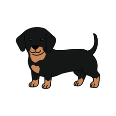 Dachshund dog flat character vector design