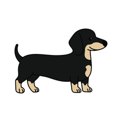 Dachshund dog flat character vector design