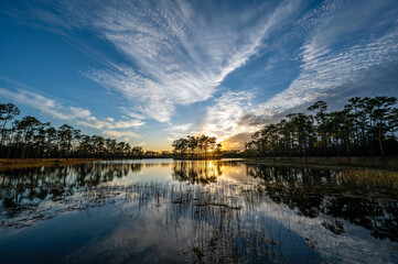 Colorful sunset cloudscape over Long Pine Key in Everglades National Park, Florida reflected in calm water of lake.