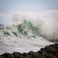A powerful ocean wave crashes against the South African coast, showcasing nature's raw energy....