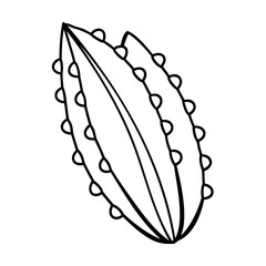 Black Line Drawing Starfruit Simple Illustration line art