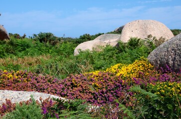 Rocks of the Pink Granite Coast in Brittany in France, Europe