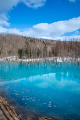 Blue pond, popular landmark in Biei town, Hokkaido, Japan, blue clear water with peaceful environment under cloudy blue sky in late winter season
