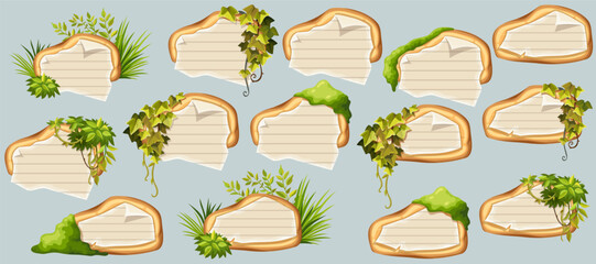 Wooden signboards with old paper, stems ivy, liana, grapes, vine, swamp moss, forest lichen. Set isolated wooden elements with blank, with school page in line, ragged graph paper. 